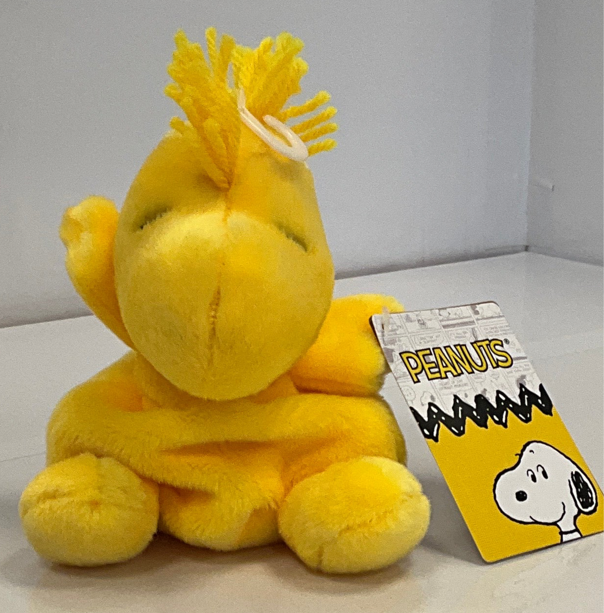 Pals Peanuts Woodstock