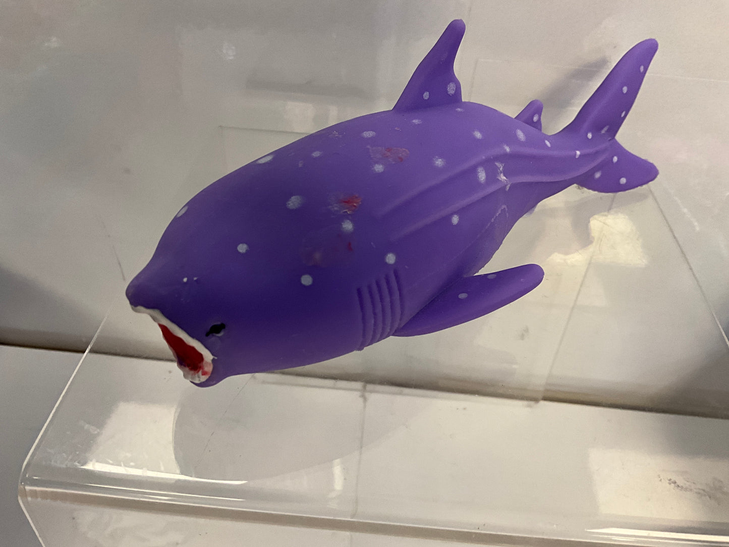 SQH Sand Whale Shark