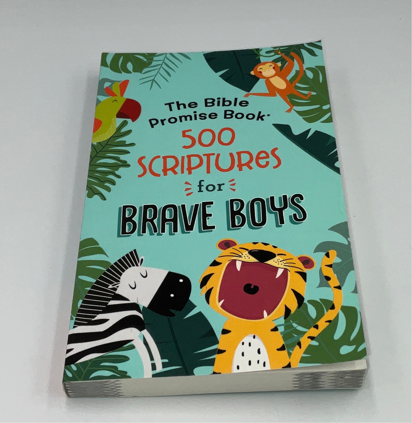 Barbour 500 Scriptures for Boys