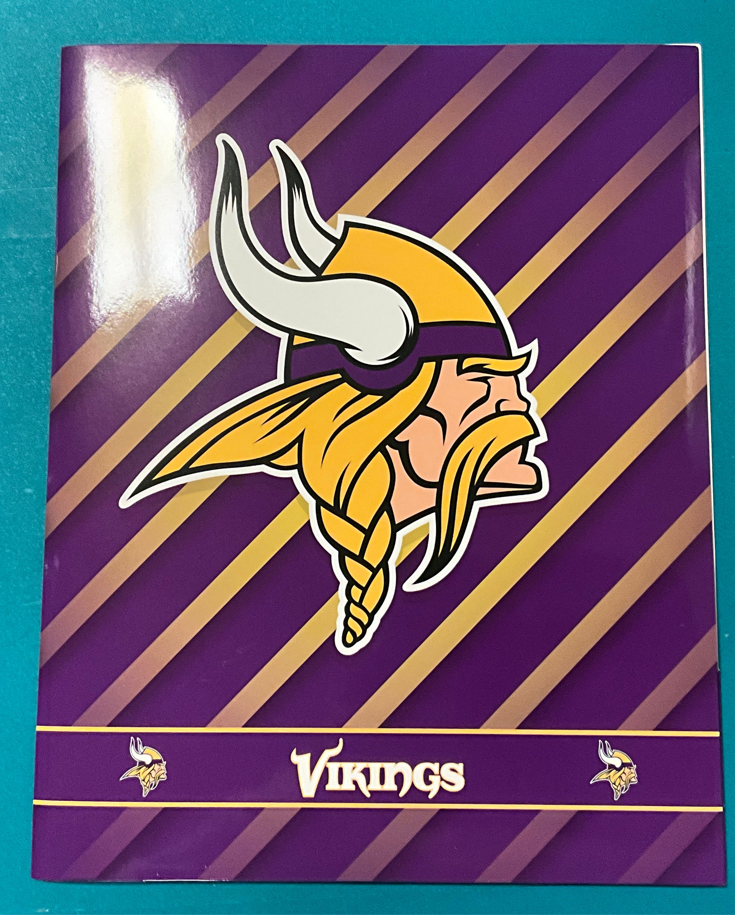 Rico Vikings Folder