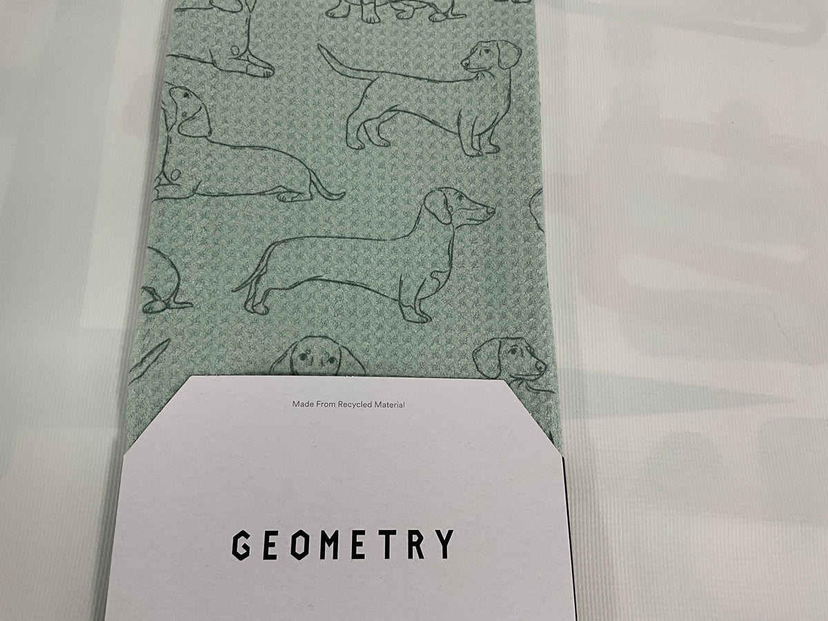Geom Tea Dachshund Pups