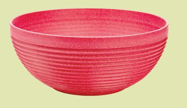 Maple 10" Bowl Watermelon