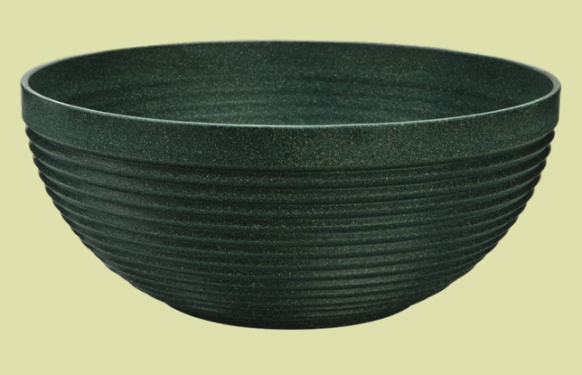 Maple 12" Bowl Evergreen