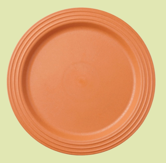 Maple 11.25" Plate Pumpkin