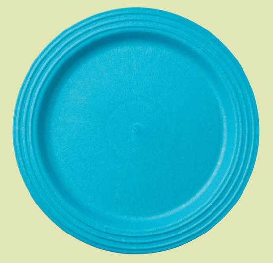 Maple 11.25" Plate Teal