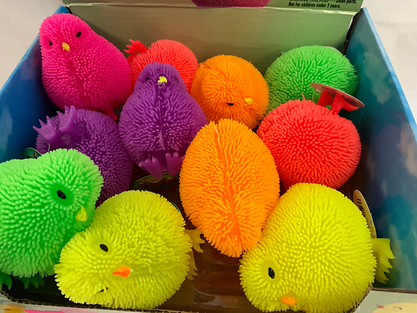 SQH Puffer Chicks