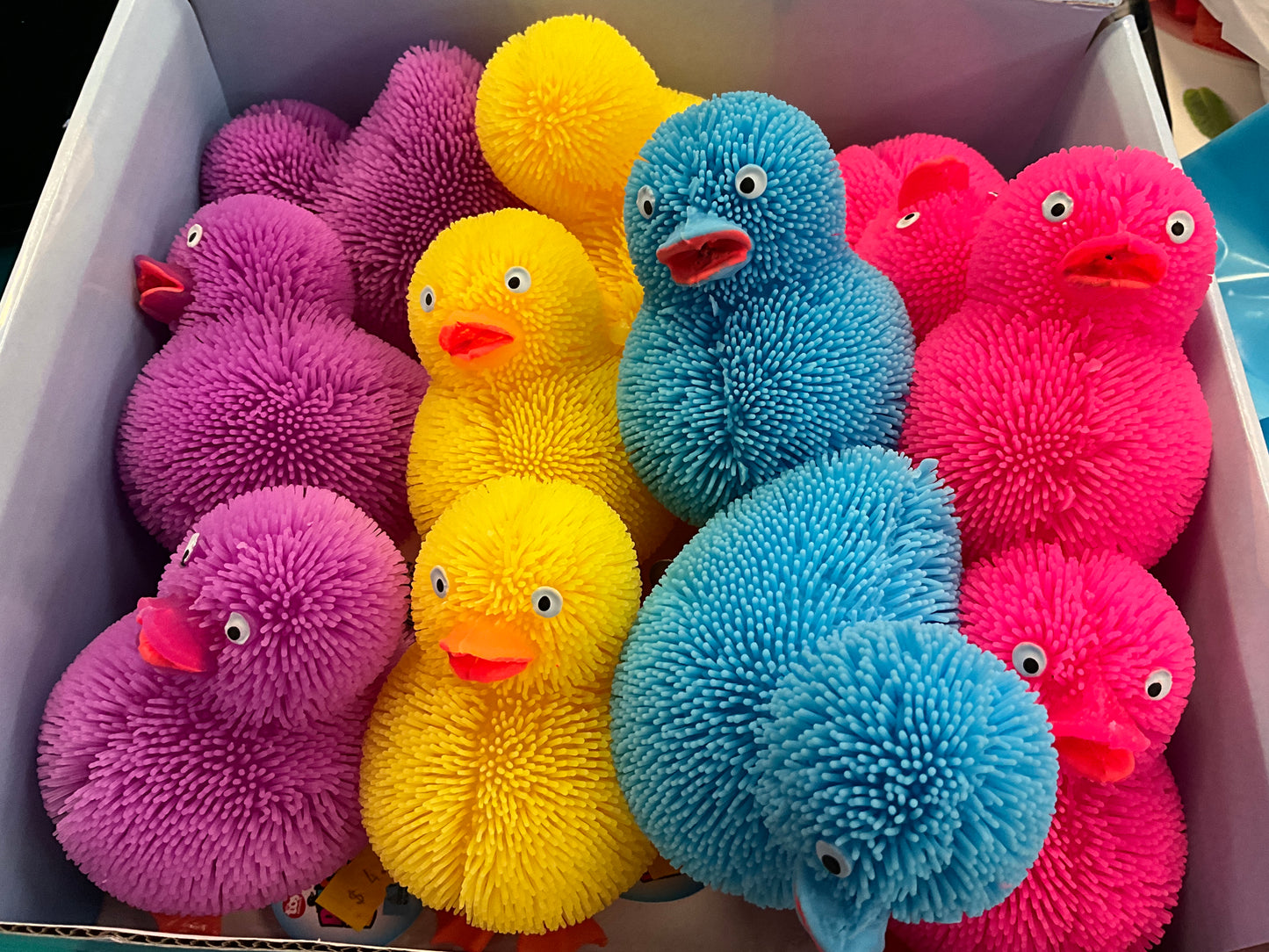 SQH Puffer Ducky