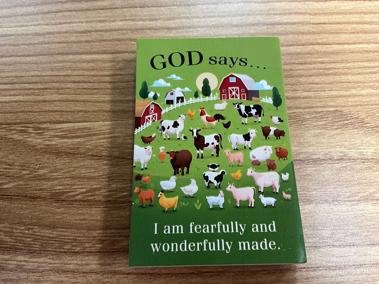 DKS Wallet Card God Says