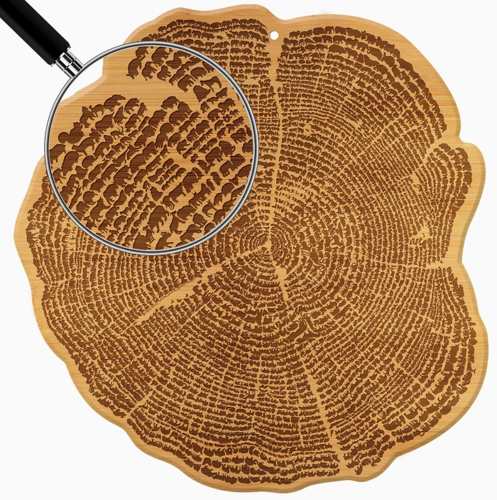 TBam Tree of Life Board