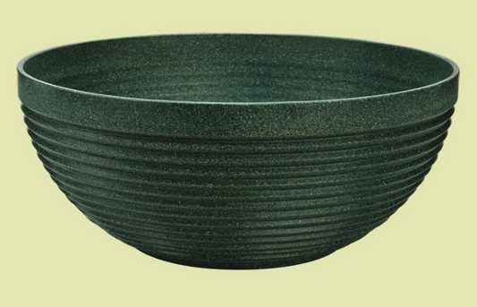 Maple 12" Bowl Evergreen