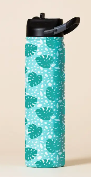 SIC 27oz Bottle Minstera